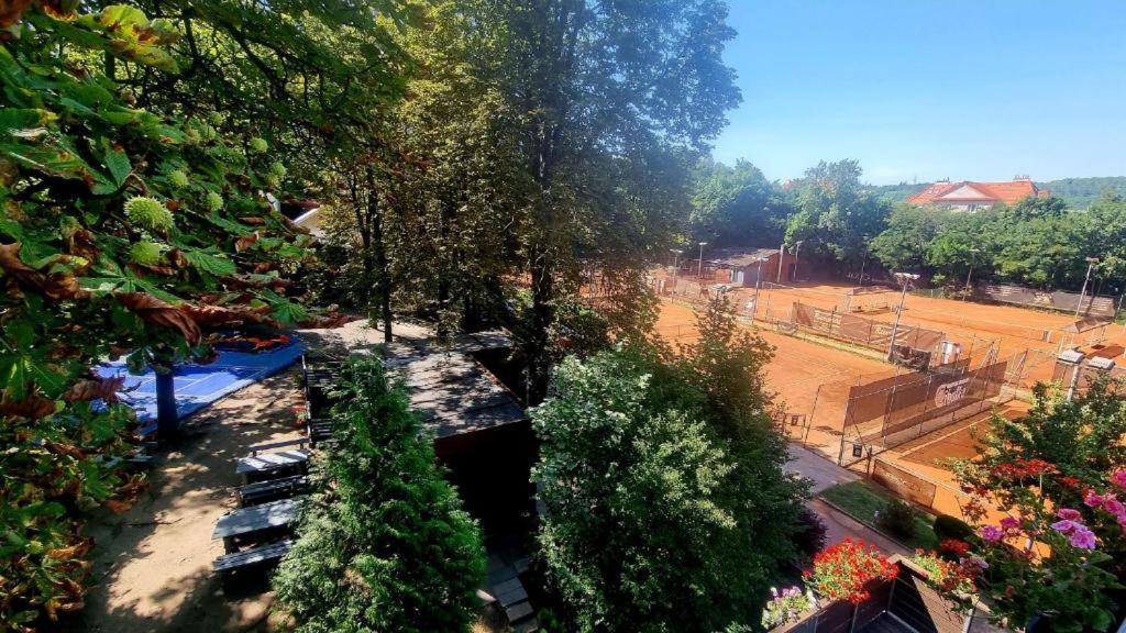 Zahrada ubytování Tenis Cibulka Suites