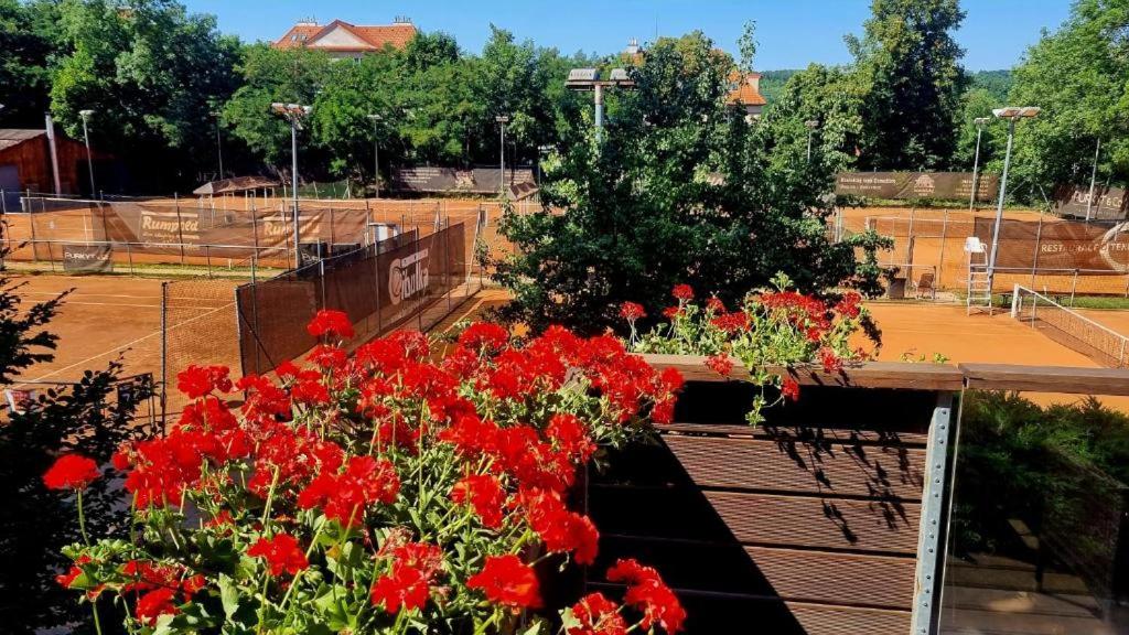 Zahrada ubytování Tenis Cibulka Suites