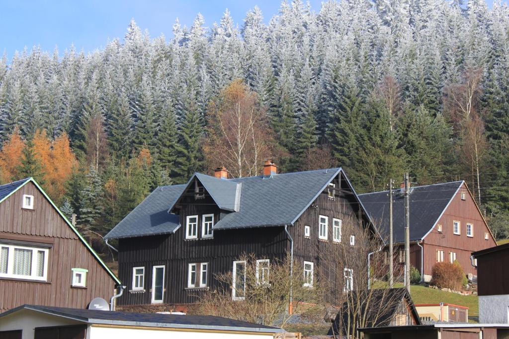 un grupo de casas frente a un bosque en Fw. Steindöbra Anno Dazumal en Klingenthal