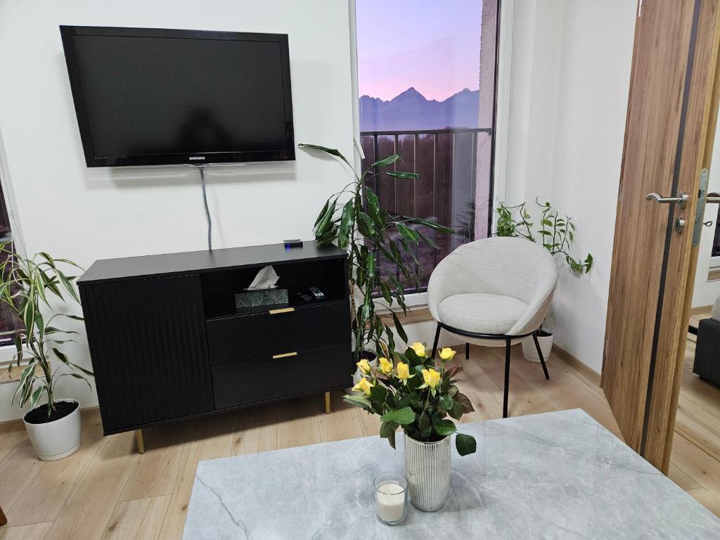 TV a/nebo společenská místnost v ubytování City apartment with moutain view - free parking