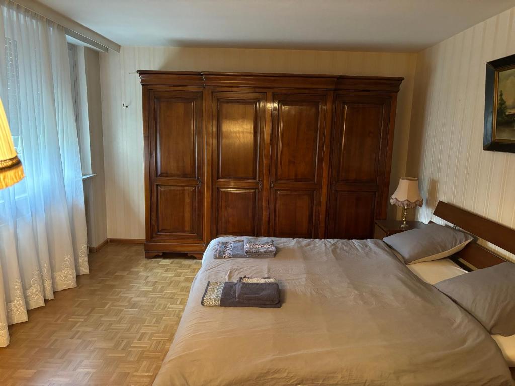 Steps from Basel and Train Spacious 120 m2 Apartment in Saint Louis with Terrace and Garden – photo 2