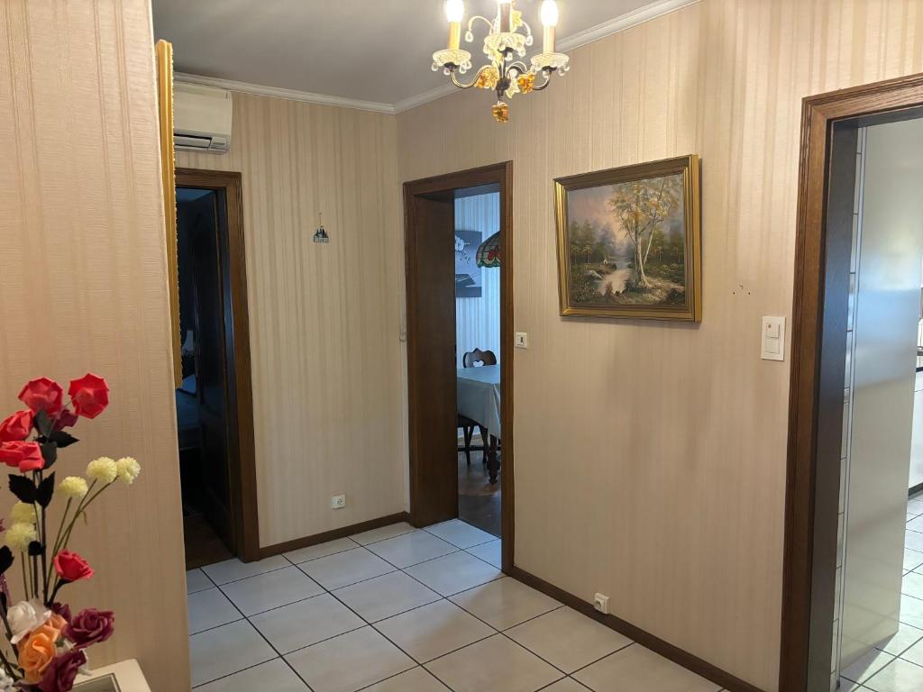 Steps from Basel and Train Spacious 120 m2 Apartment in Saint Louis with Terrace and Garden – photo 15