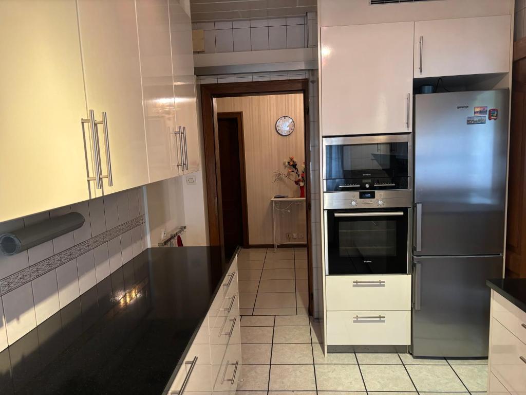 Steps from Basel and Train Spacious 120 m2 Apartment in Saint Louis with Terrace and Garden – photo 8