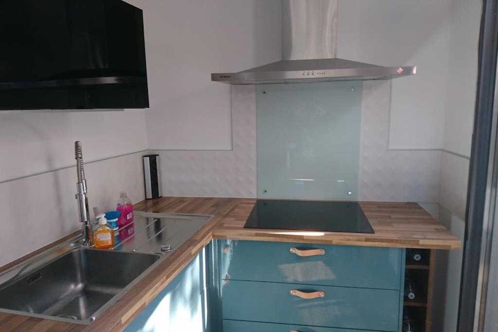 une cuisine avec un évier et un plan de travail dans l'établissement Maison cosy calme jardin privatif 10mn de la plage, à Frontignan