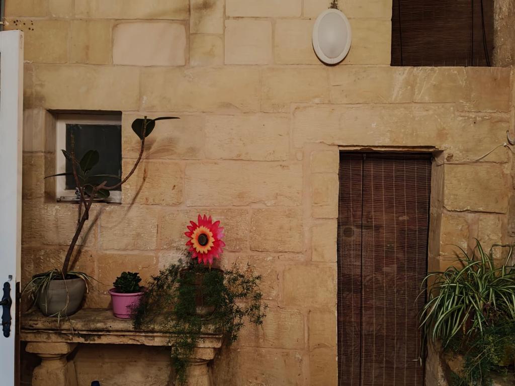 Fotografie z fotogalerie ubytování Stella's house v destinaci Siġġiewi
