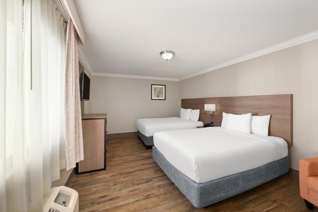 Solara Inn and Suites photo