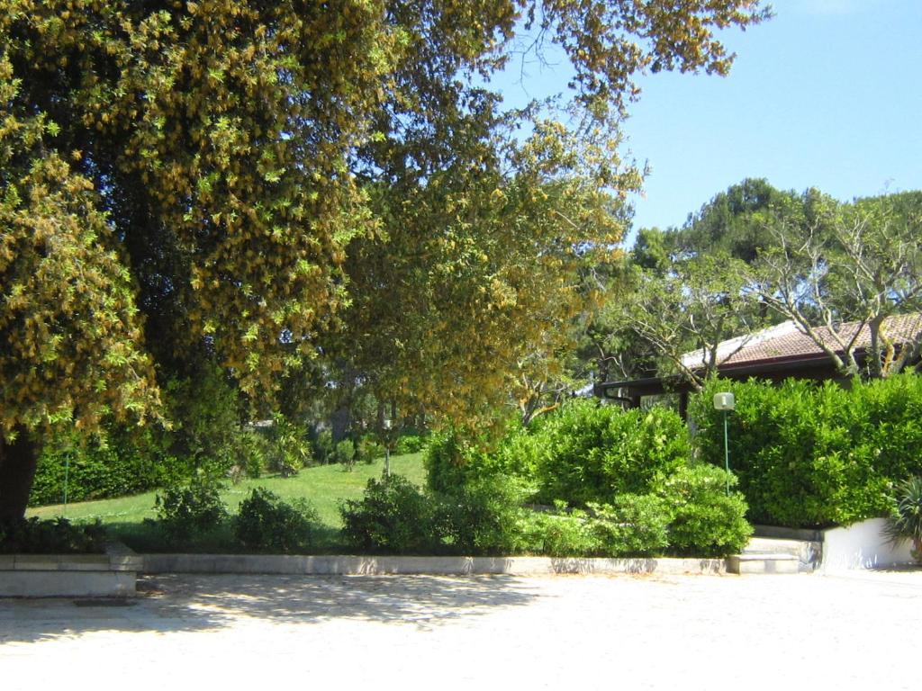 Zahrada ubytování Masseria Fabrizio