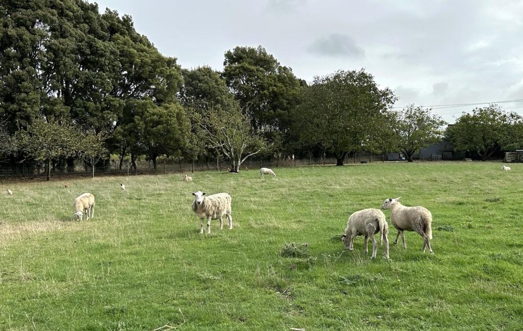 Country Retreats on Ranzau 1 - Resim 31