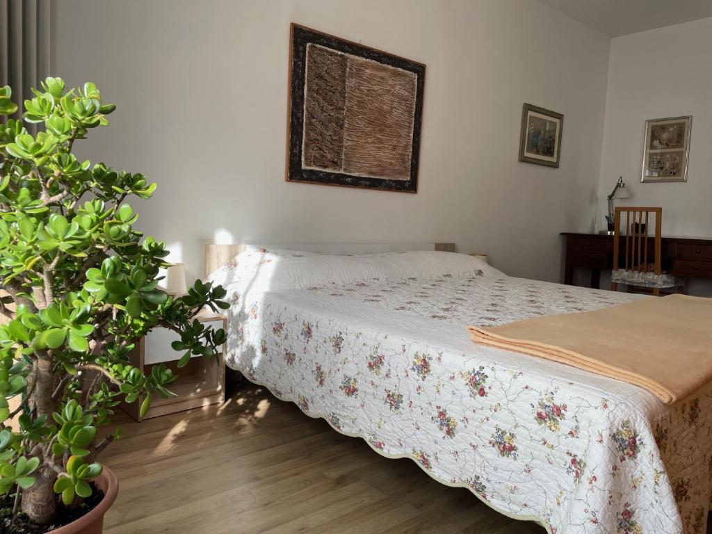 a bedroom with a bed and a potted plant at MiniLevico in Levico Terme