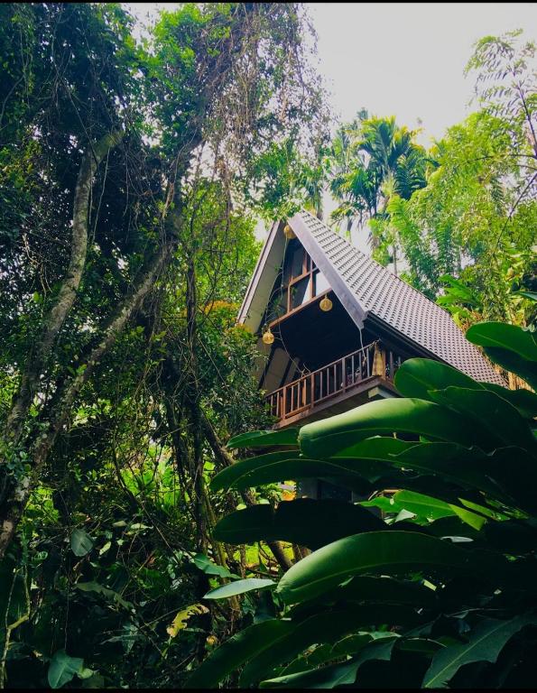 Zahrada ubytování THE JUNGLE CABIN ella