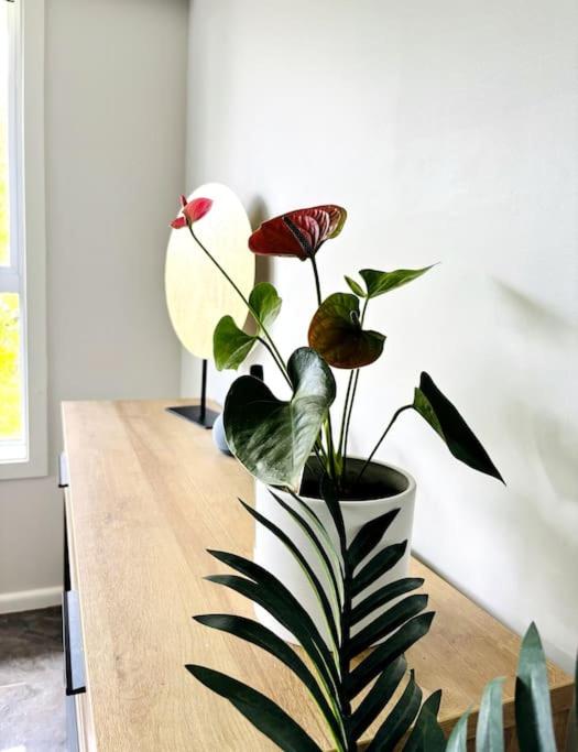 Family Home with Spa, Office and BBQ - Resim 19