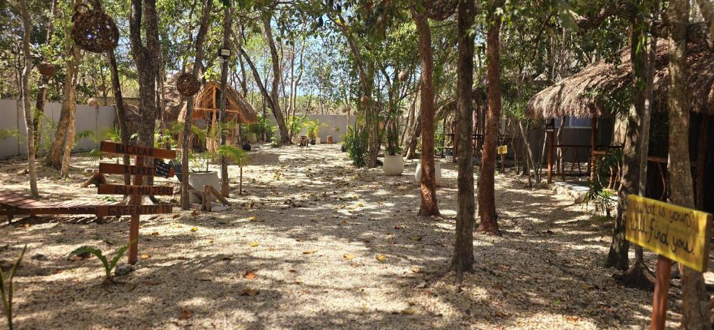 Zahrada ubytování Hotel Kin Tulum Jungle Deluxe