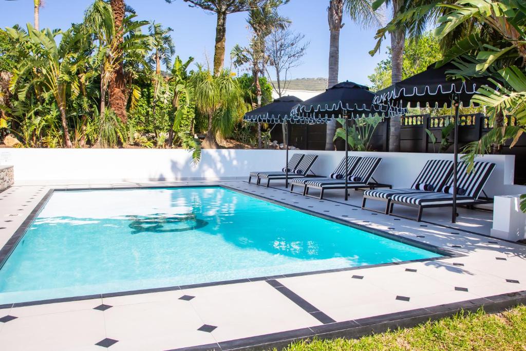 Piscina di Coco Queen o nelle vicinanze