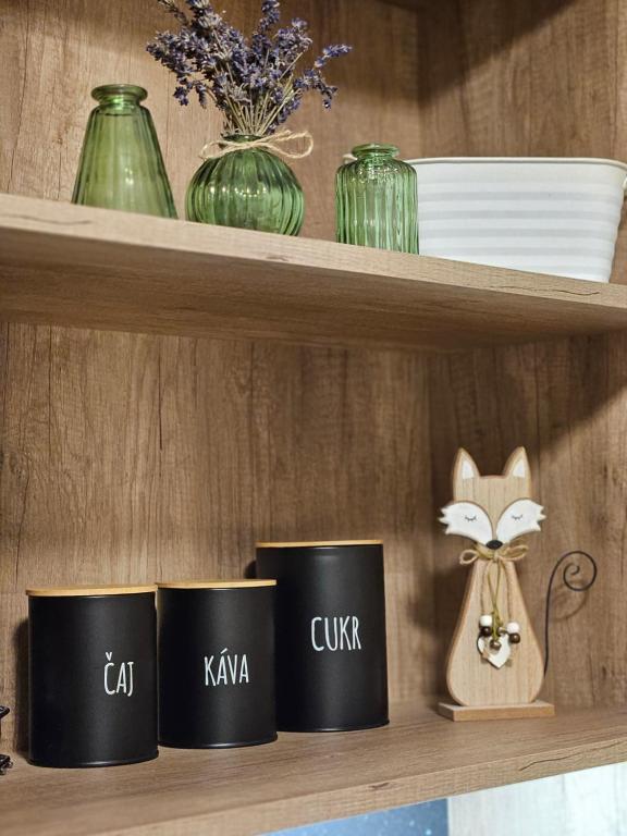 Fotografie z fotogalerie ubytování Apartmány Karolína - Kašperské Hory v Kašperských Horách