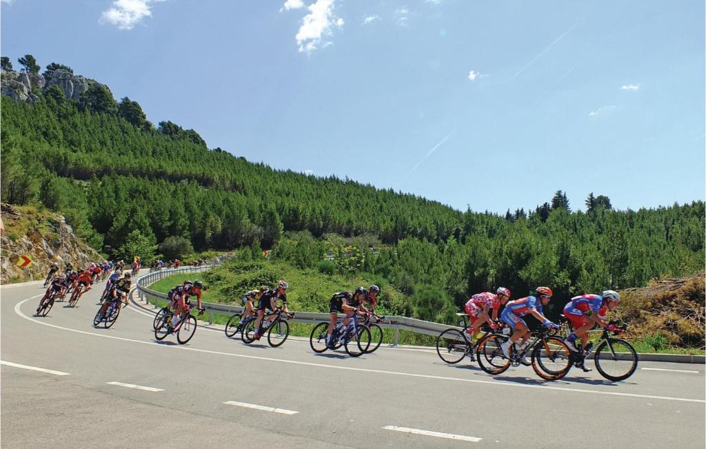 Jazda na bicykli v okolí ubytovania Holiday Home Podgora 14