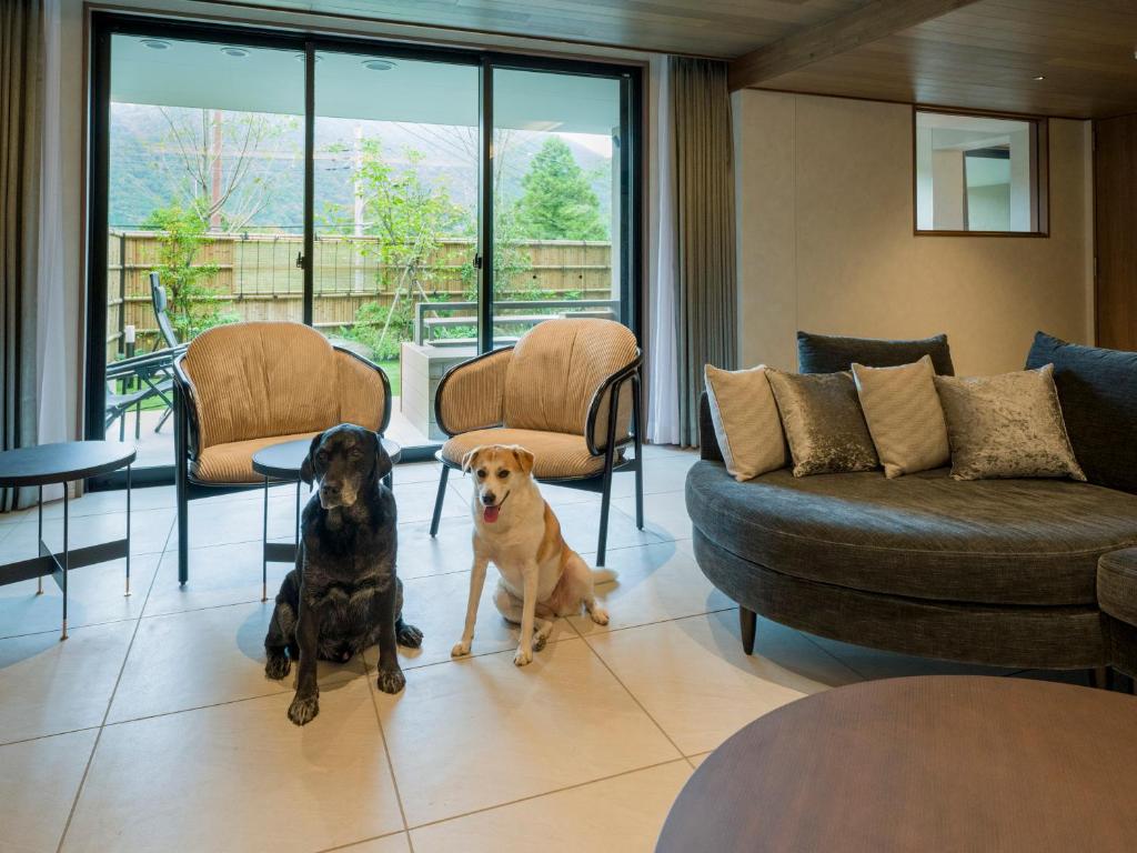 Domácí mazlíčci ubytovaní s hosty v ubytování Rakuten STAY TERRACE Hakone Kowakudani