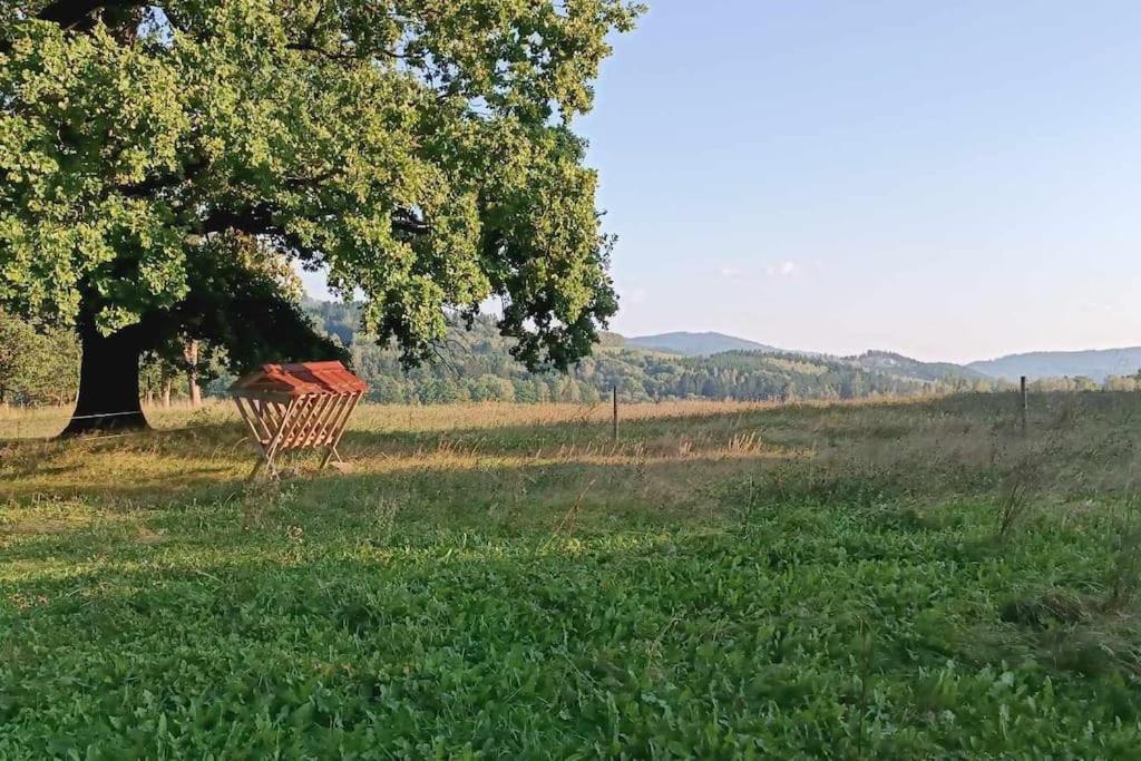 Příroda nedaleko prázdninového domu