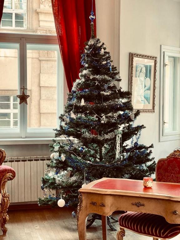 Platnéřská ,7 - Apartamento De Dos Dormitorios