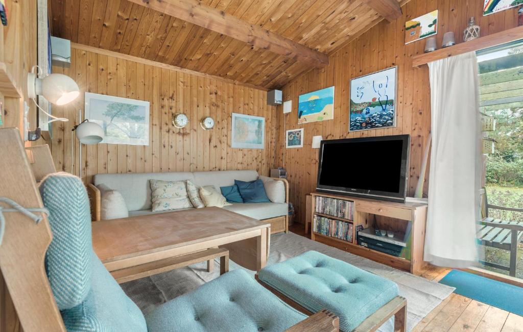 TV a/nebo společenská místnost v ubytování 3 Bedroom Awesome Home In Rødvig Stevns