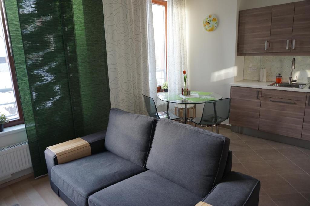 Kuchyň nebo kuchyňský kout v ubytování Leongargt Apartments