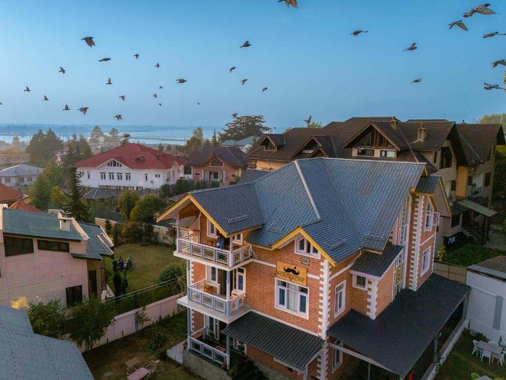 Příroda nedaleko hostelu