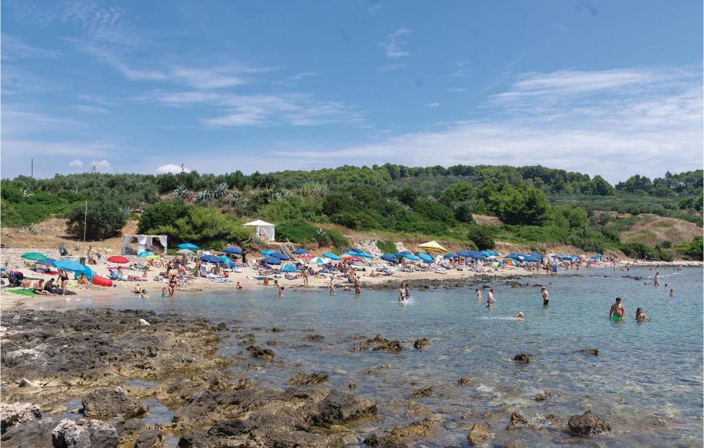 Przyroda w pobliżu tego apartamentu