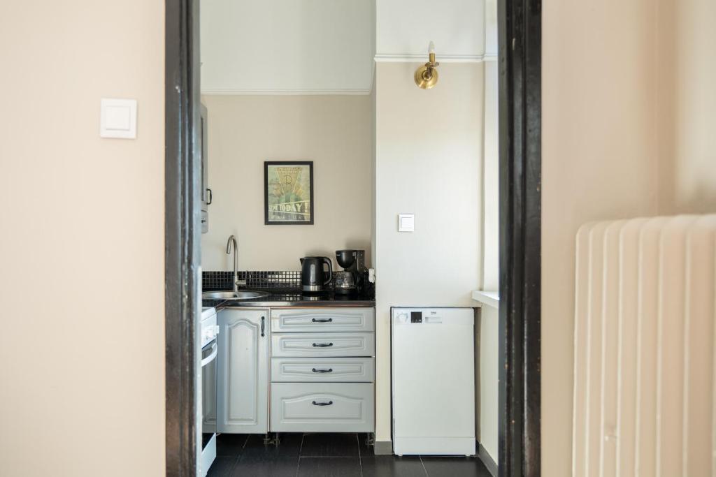 Kuchyňa alebo kuchynka v ubytovaní Blue Apartment Rajska