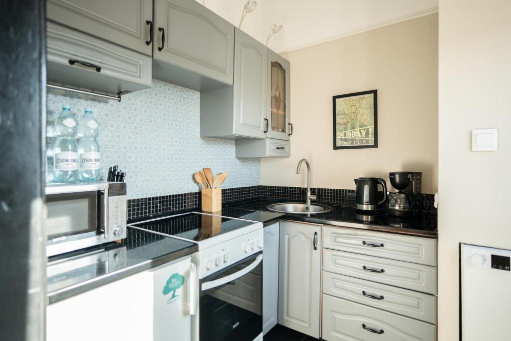 Kuchyňa alebo kuchynka v ubytovaní Blue Apartment Rajska