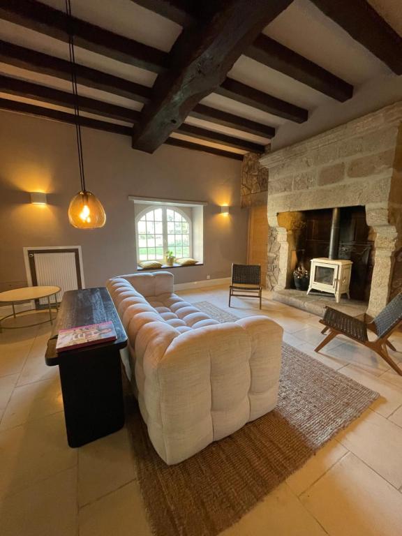 a living room with a couch and a fireplace at Château Doré les Tours - Appartement Loup in Montfaucon
