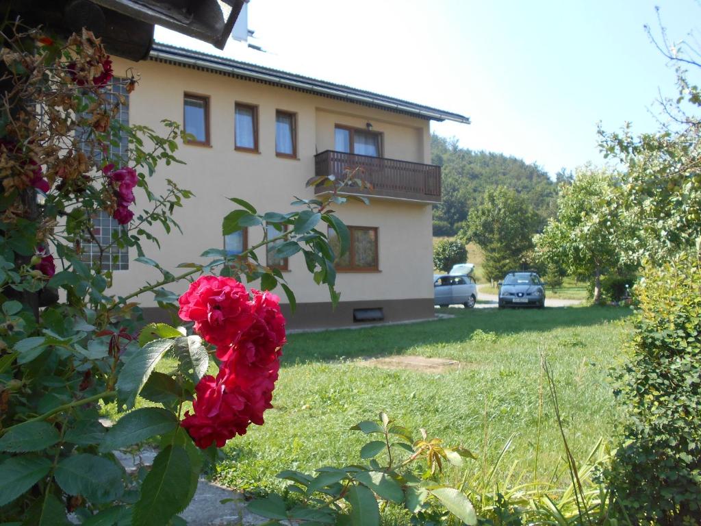 Vonkajšia záhrada v ubytovaní Apartments T&M