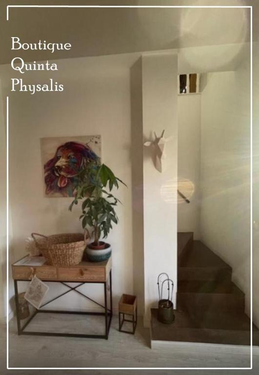 Fotografie z fotogalerie ubytování Boutique Quinta Physalis v destinaci Fenais da Luz