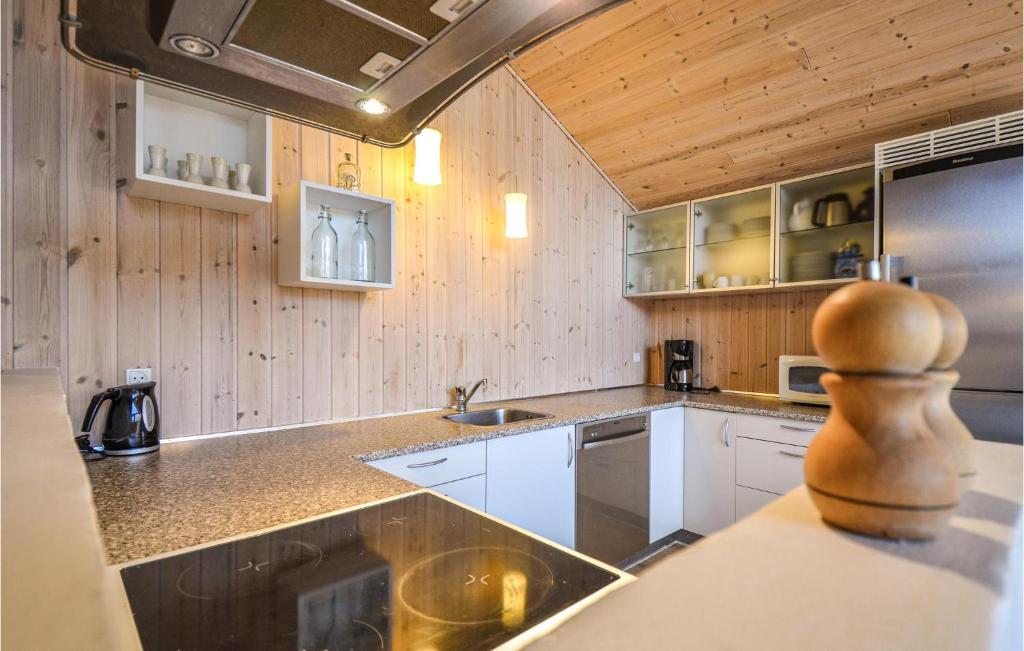 Kuchyň nebo kuchyňský kout v ubytování Holiday Home Capellavej
