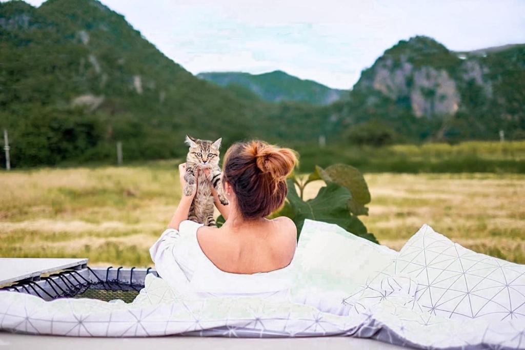 Domácí mazlíčci ubytovaní s hosty v ubytování Khao Poon Camping