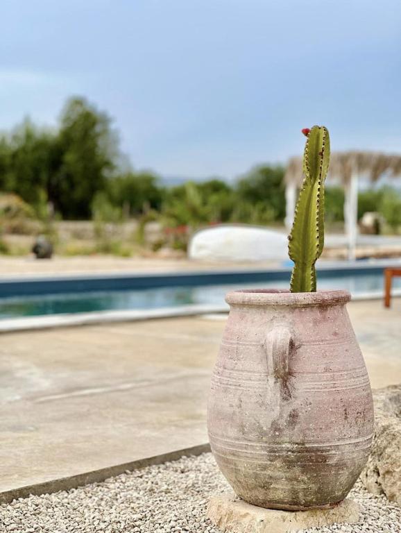 Fotografie z fotogalerie ubytování CasapiuHolidaySicilia-Adults Only v destinaci Noto