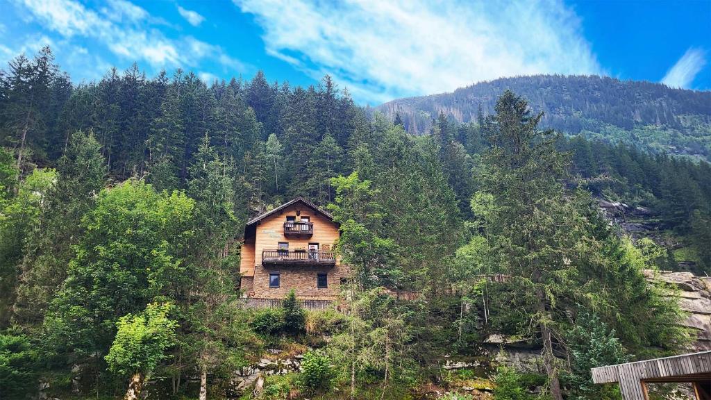 a house in the middle of a forest at Almliesl GAST-719 in Bad Gastein