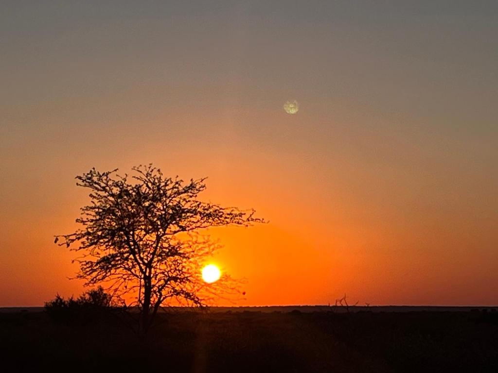 a sunset with a tree in the foreground at Farm stay in the heart of the Kalahari Namibia- serviced luxury self catering accommodation in Gobabis