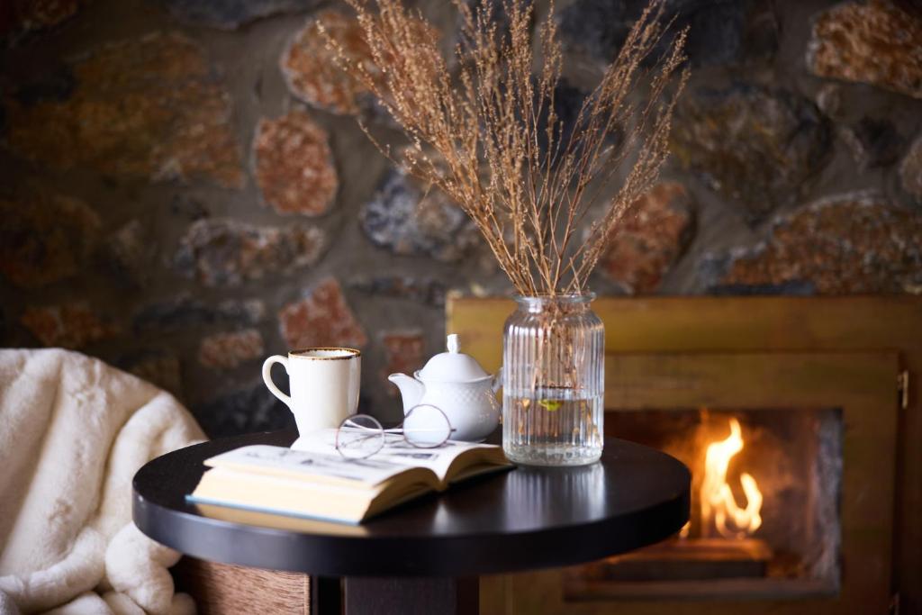 Domotel Neve Mountain Resort - 3