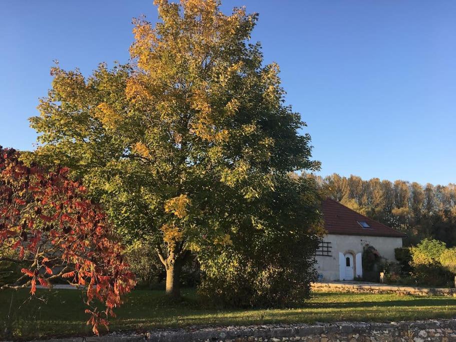 un arbre devant une maison et une maison dans l'établissement Gîte 8 chambres entre Reims et Epernay - La Chenevière - Gîtes Au Beau Sarrazin, à Fontaine-sur-Ay