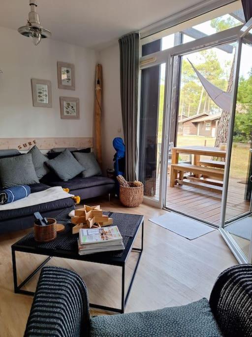 un salon avec un canapé et une table dans l'établissement Chalet lacanau, à Lacanau