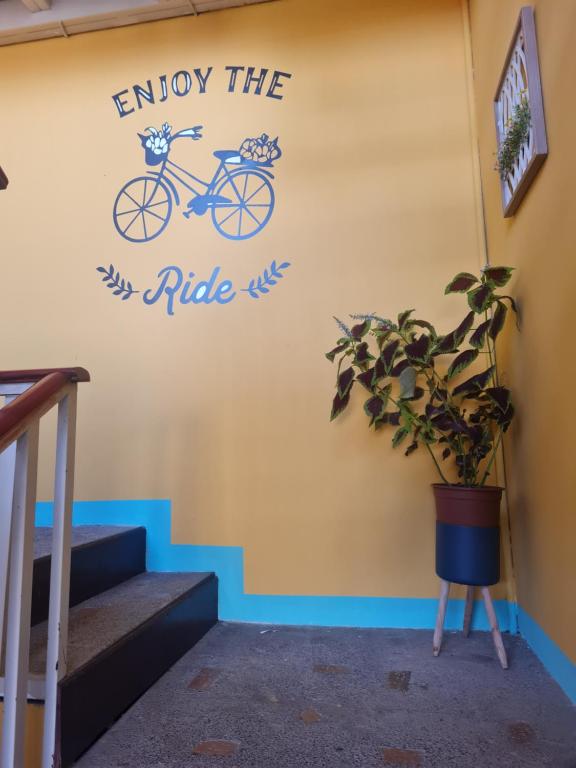 Jízda na kole v ubytování Hotel Liberia nebo okolí