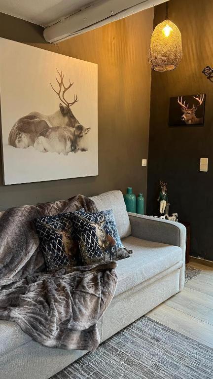 Posezení v ubytování Le Brâme du Cerf