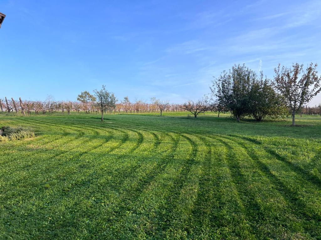 Zahrada ubytování Al Vigneto