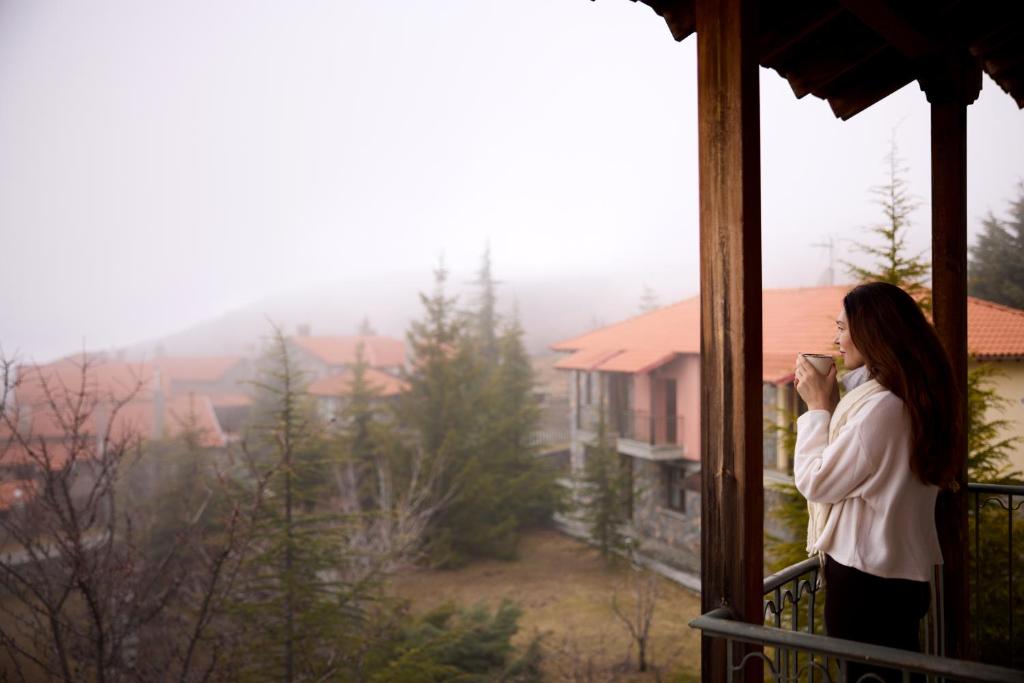 Domotel Neve Mountain Resort - 15