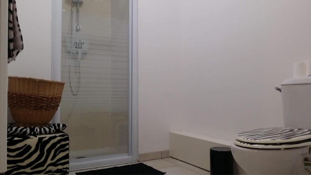 La salle de bains est pourvue d'une cabine de douche et de toilettes. dans l'établissement Rivadour, à Bayonne