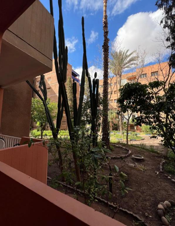 Dreamy Majorelle and Bohemian Majorelle — photo 6