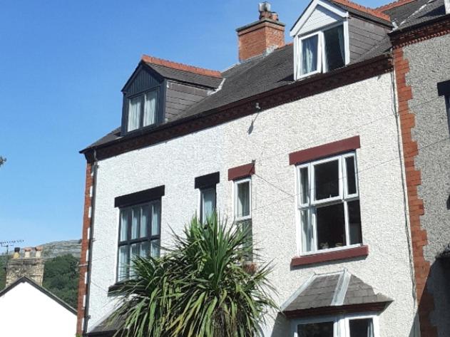 a white house with a palm tree in front of it at 2 Bodwen Villas in Llangollen
