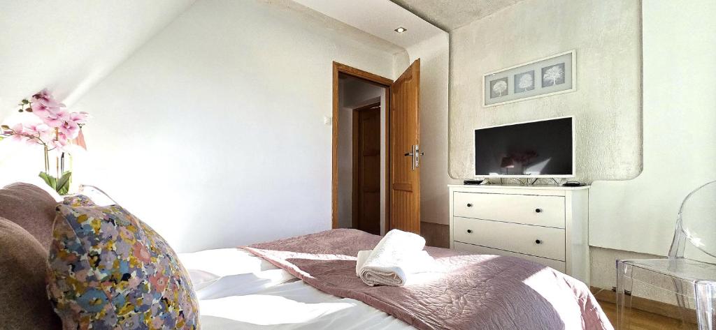 Televízia a/alebo spoločenská miestnosť v ubytovaní VIP Apartamenty Widokowe