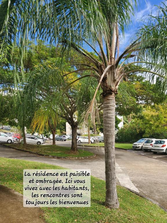 Zahrada ubytování Joli T2 L'Oasis vue mer des Caraïbes proche des plages