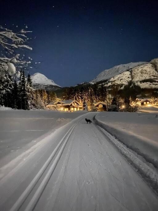 a dog walking down a snow covered road at night at Hemsedal Mountain Retreat in Hemsedal