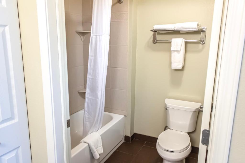 Staybridge Suites Minot by IHG - スタジオスイート